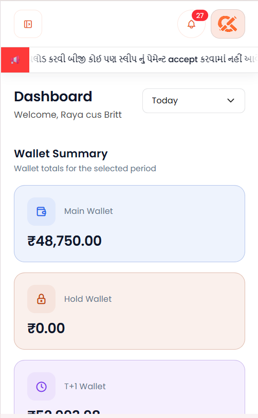 Credixaa customer dashboard on mobile